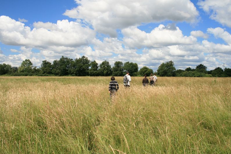 Balade en famille à travers champs