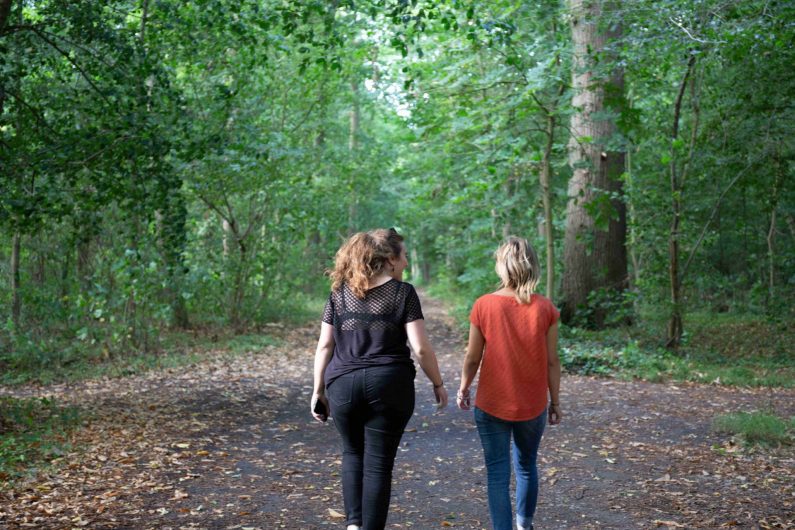 Balade dans le bois de Lewarde 