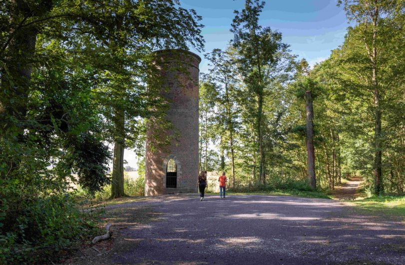 Balade à proximité de la tour du bois de Lewarde 