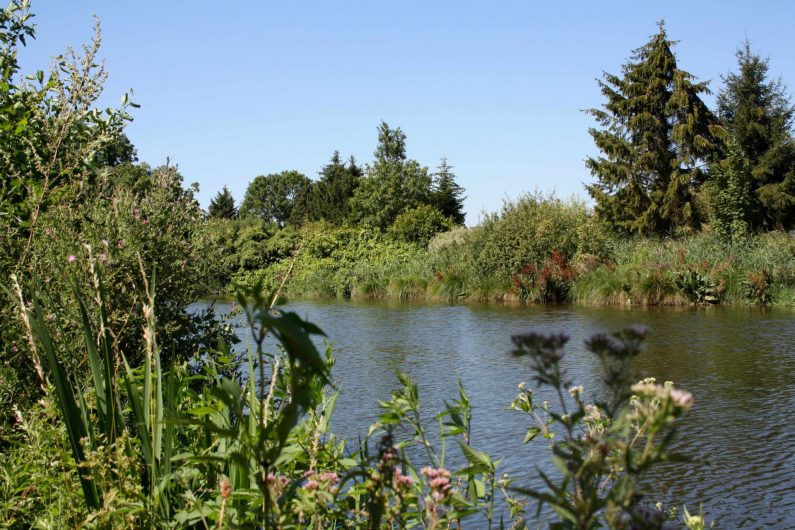 Les berges de la scarpe 