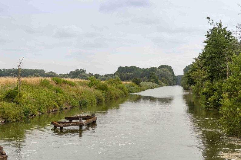 Les berges de la Scarpe 