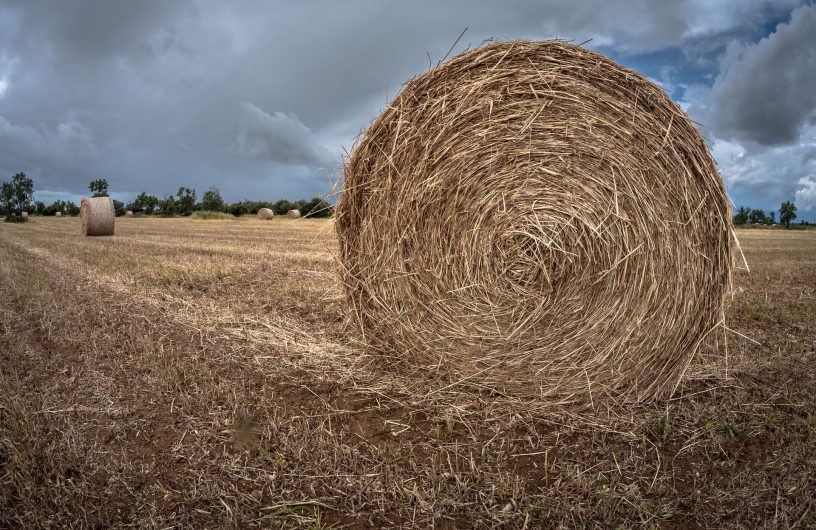 Un champ avec des ballots de paille 