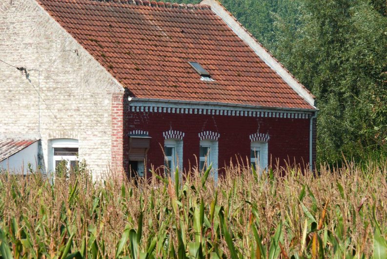 Une maison des mines face à un champ de maïs