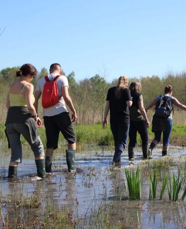La tourbière de Vred