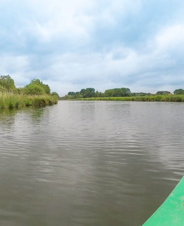 La vallée de la Scarpe