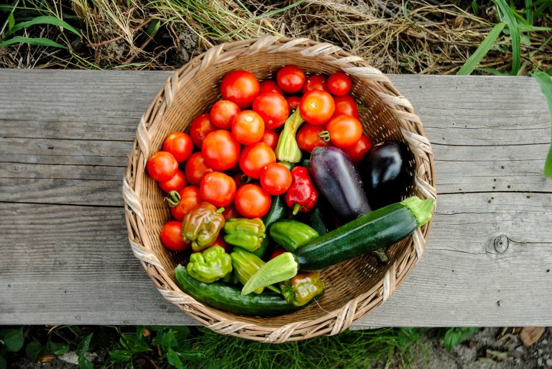 Panier de légumes de saison de l'AMAP 