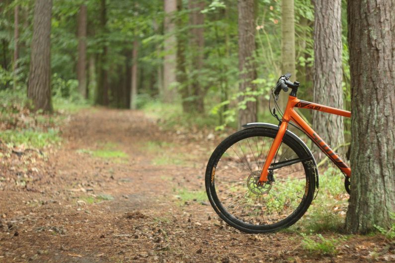 Vélo en forêt de Marchiennes 