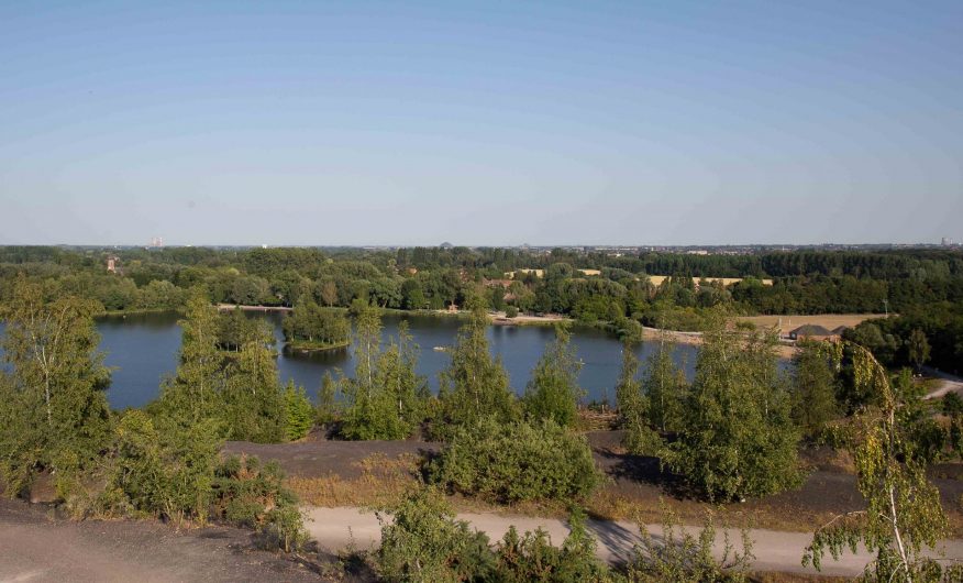 Vue sur la roselière