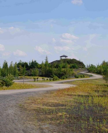 Le Terril de Rieulay