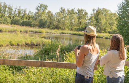 Visite guidée: Les pieds dans l’eau