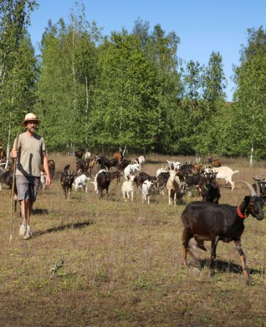 Une mine d’inspirations