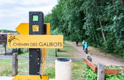 Les galibots