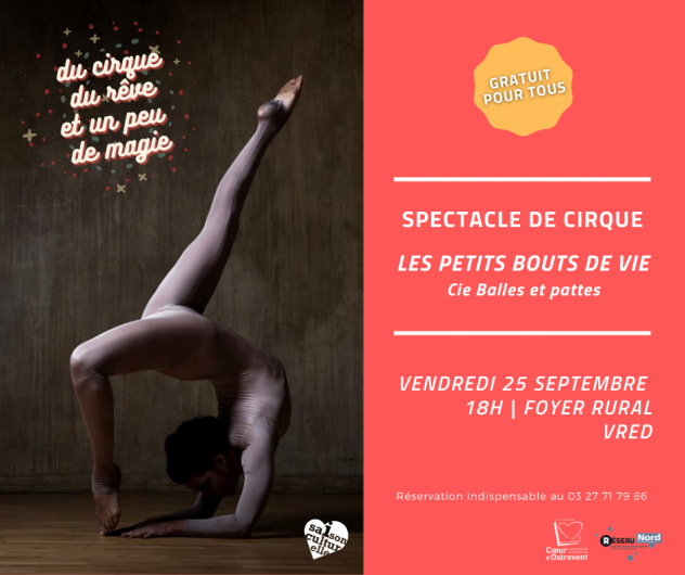 Affiche du spectacle de cirque 