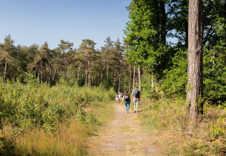 Randonneurs en forêt de Marchiennes ©Karen Saint-Patrice