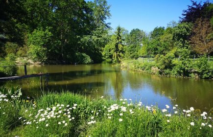 Atelier : Pause zen