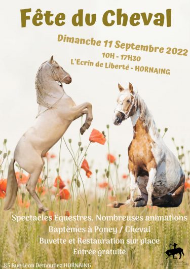 Affiche fête du cheval Ecrin de liberté