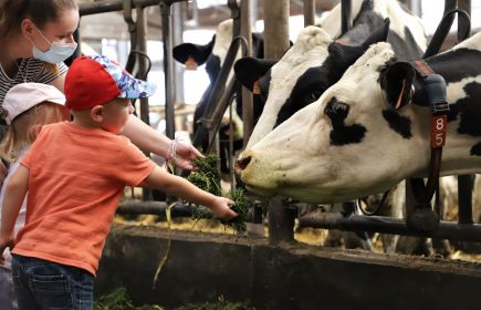 Visite ferme : fermier des temps modernes
