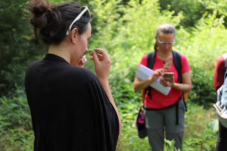 Groupe à la découverte des plantes 