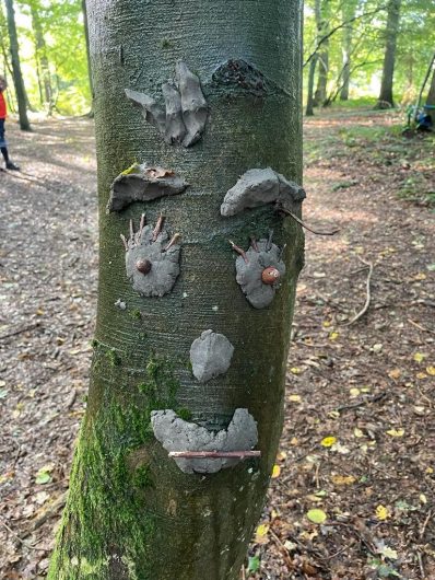 Deco sur arbre 