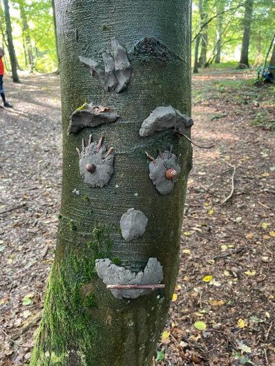 Deco sur arbre 