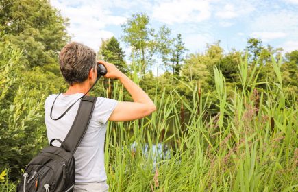 Découverte d&rsquo;une tourbière particulière