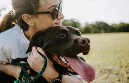 Balade canine : le toutour