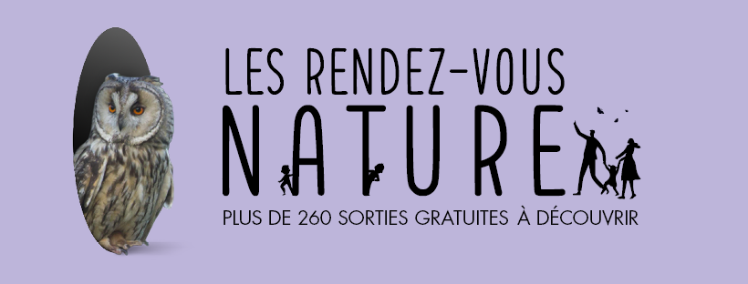 Une chouette sur une affiche des rendez-vous nature 2023 du département du Nord