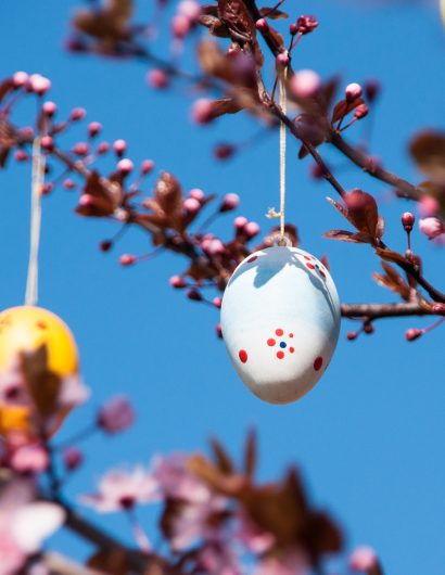 Oeufs de Pâques sur une branche