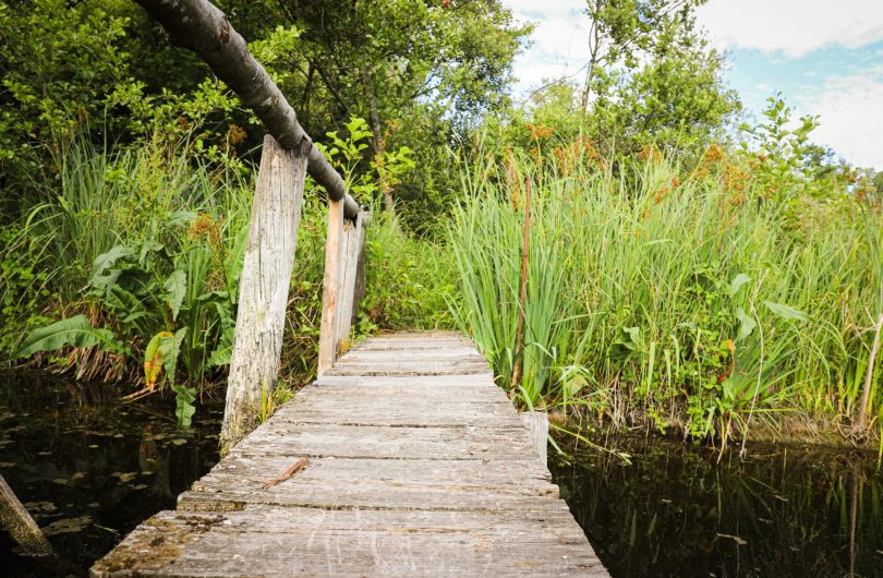 ©Cœur d'Ostrevent Tourisme