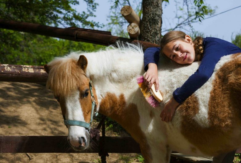 Balade à poneys