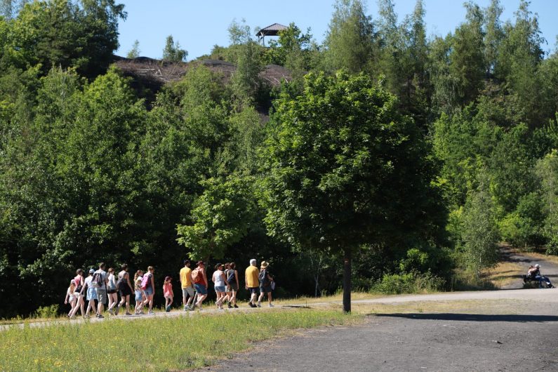 L’image représente le terril des Argales de Rieulay. Des marcheurs se promènent le long des sentiers.