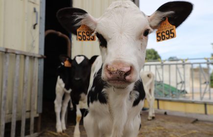 Portes ouvertes Ferme Bauduin
