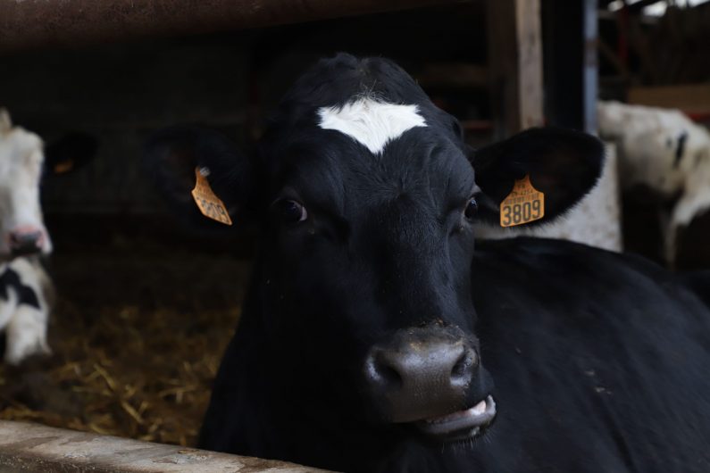 ©Cœur d'Ostrevent Tourisme