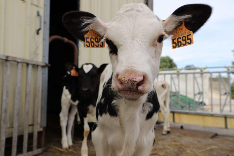 ©coeur d'ostrevent tourisme