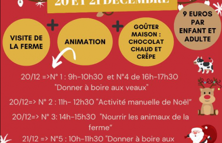 Noël à la ferme Bauduin