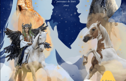 Spectacle équestre de Noël