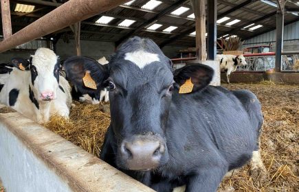 Ferme Ouverte Au Cœur Fermier