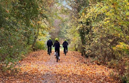 Mine de rien, ça charbonne