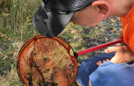Rendez-vous nature : La vie dans la mare